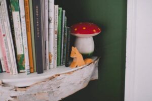 A single toy fox on a bookshelf